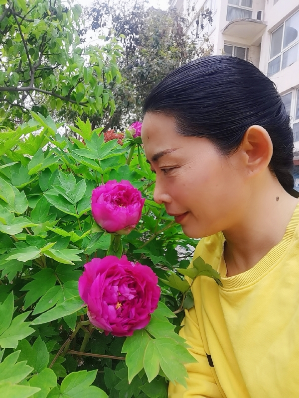 厚德载物的第一张照片--杭州上门女婿服务网